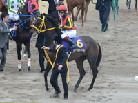桜花賞（ＧＩ）　本馬場入場