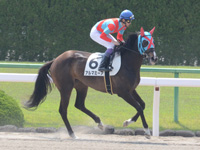 未勝利戦（牝）　キャンター