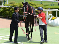 未勝利戦　口取り