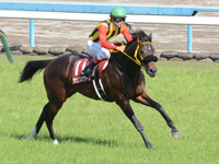 京都新聞杯（ＧＩＩ）　キャンター
