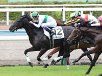 小倉5R　新馬戦　ハンターバローズ