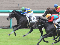阪神5R　新馬　シャドウダンサー
