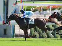 京都5R 新馬　ヴォルシェーブ