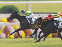 京都4R　未勝利　サトノロブロイ