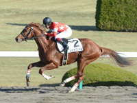 阪神1R　未勝利　レッドロンメル