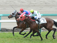 阪神3R　未勝利　メイショウネブタ