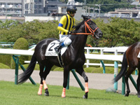 新馬戦　本馬場入場