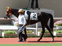 未勝利戦（牝）　パドック