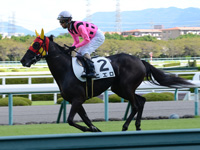 未勝利戦（牝）　キャンター