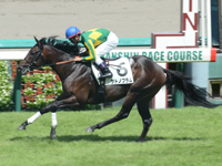 新馬戦　ゴール前