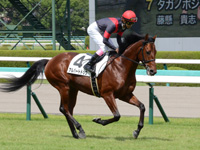 新馬戦　キャンター