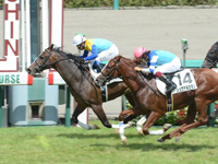 新馬戦　ゴール前（外2着）