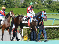 未勝利戦　本馬場入場