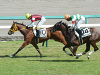 未勝利戦　ゴール前（外2着）