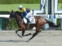 未勝利戦　キャンター