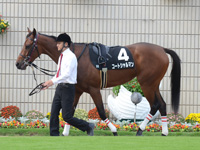 りんどう賞（500万）　パドック