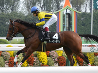 りんどう賞（500万）　キャンター