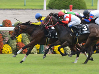 りんどう賞（500万）　ゴール前