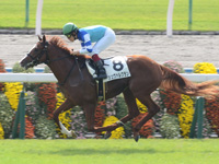 未勝利戦　ゴール前