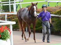 未勝利戦　口取り