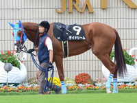 りんどう賞（500万）　パドック
