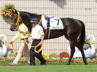 新馬戦　パドック