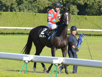 もみじステークス（ＯＰ）　本馬場入場