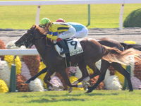 未勝利戦　ゴール前