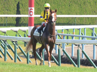 未勝利戦　凱旋
