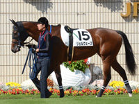 新馬戦　パドック