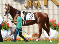 新馬戦　パドック