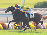 未勝利戦　ゴール前（内2着）