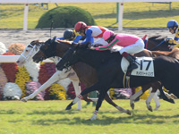 未勝利戦（牝）　ゴール前（内2着）