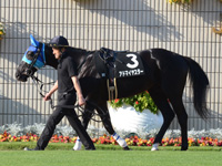 もちの木賞（500万）　パドック
