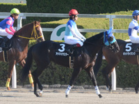 もちの木賞（500万）　本馬場入場