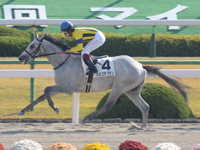 新馬戦　ゴール前