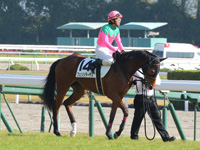 新馬戦　本馬場入場