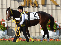 新馬戦　パドック
