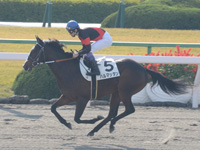 未勝利戦（牝）　キャンター