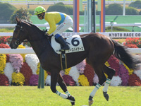 未勝利戦　キャンター