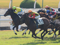 未勝利戦　ゴール前（内3着）