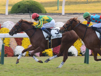 新馬戦　ゴール前
