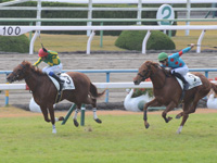 新馬戦　直線（外2着）