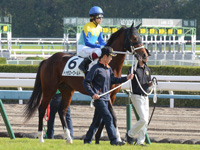 新馬戦　本馬場入場
