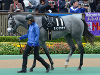 ベゴニア賞（500万）　パドック