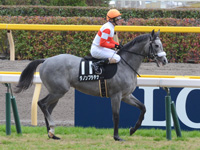 ベゴニア賞（500万）　本馬場入場
