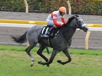 ベゴニア賞（500万）　ゴール前