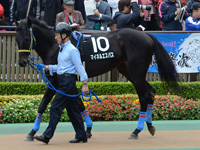 ベゴニア賞（500万）　パドック