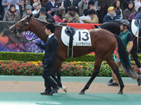 未勝利戦　パドック