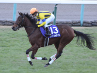 阪神ジュベナイルフィリーズ（ＧＩ）　キャンター